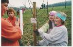 Výsadba stromů v rámci programu "Strom života"