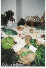 Podzimní výstava - pořádá Klub zahradkářů Trnávka