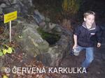 Perníkiáda s VŘSR 2008