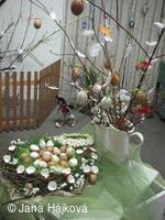 Klub zahradkářů Trnávka uspořádal 2. ročník jarní výstavky